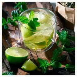 Zwilling THEGLAS SÆT 240 ML / 6-DELE 7 Zwilling THEGLAS SÆT 240 ML / 6-DELE -Køkkenudstyr Butik 39500 077 04