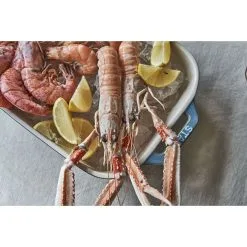 Staub Ovnfad Sæt 3-dele -Køkkenudstyr Butik 424423155